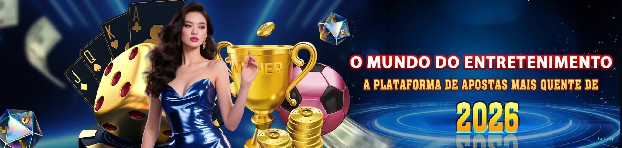 Login seguro na bravip